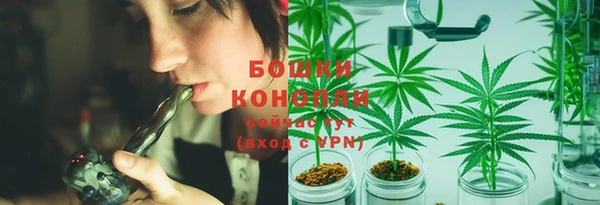 мяу мяу мука Вязьма