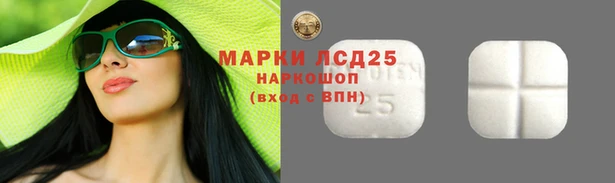 меф Вяземский