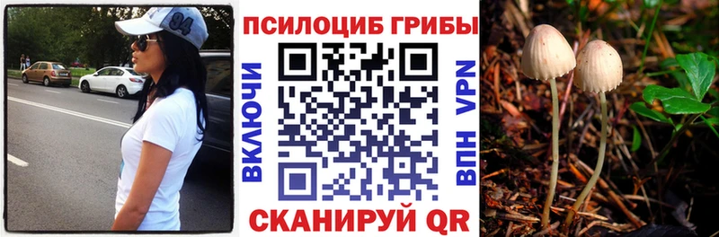 Галлюциногенные грибы мухоморы  Купить где  Кодинск 