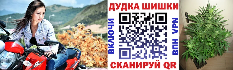 Купить закладки  Кодинск  Марихуана сатива 